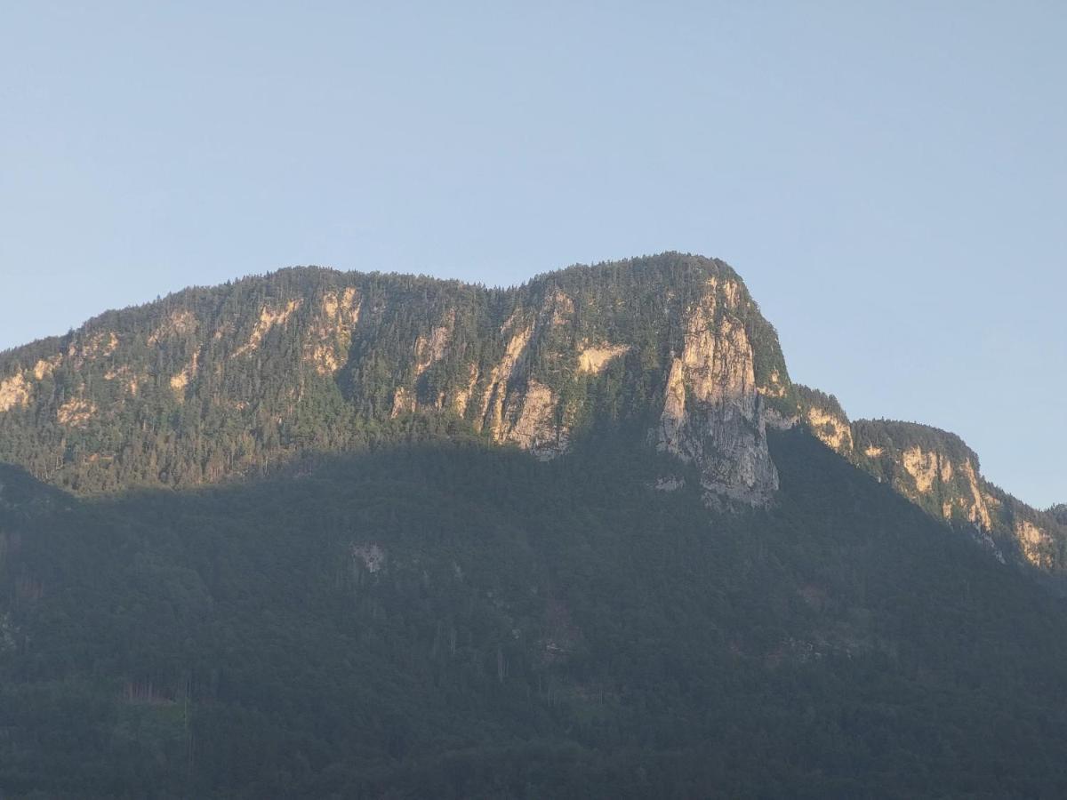 Apartmaji Pr'Pisk Bohinjska Bela Exteriér fotografie