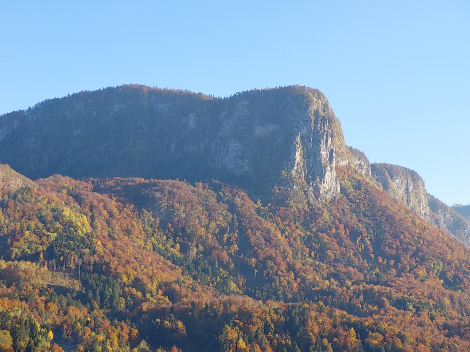Apartmaji Pr'Pisk Bohinjska Bela Exteriér fotografie