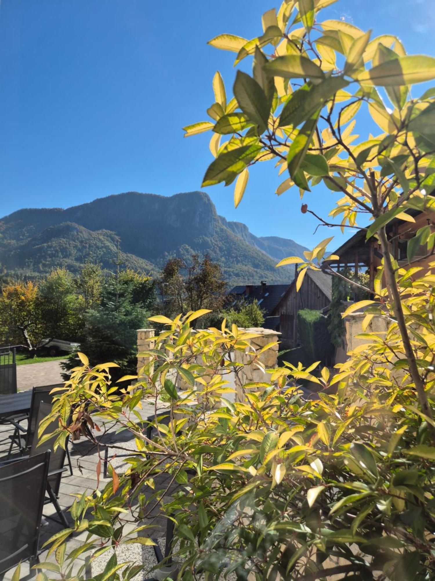 Apartmaji Pr'Pisk Bohinjska Bela Exteriér fotografie